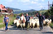 Hohe Tatra und Krakau, wandern, polen, 