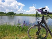 Masurischer Landschaftspark - mit dem Fahrrad entdecken