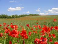 wandern,masuren,individuell