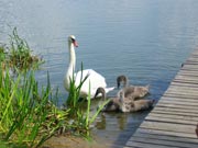 oberländiche kanal, masuren, individuelle radtouren, fahrradtouren, MASUREN – MARIENBURG – DANZIG