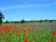 masuren, individuelle radtouren, fahrradtouren, MASUREN – MARIENBURG – DANZIG