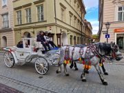Krakau und Velo Dunajec