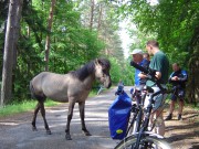 Masurischer Landschaftspark - mit dem Fahrrad entdecken