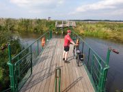 WARSCHAU UND DIE NATIONALPARKS auf dem Green Velo Radweg